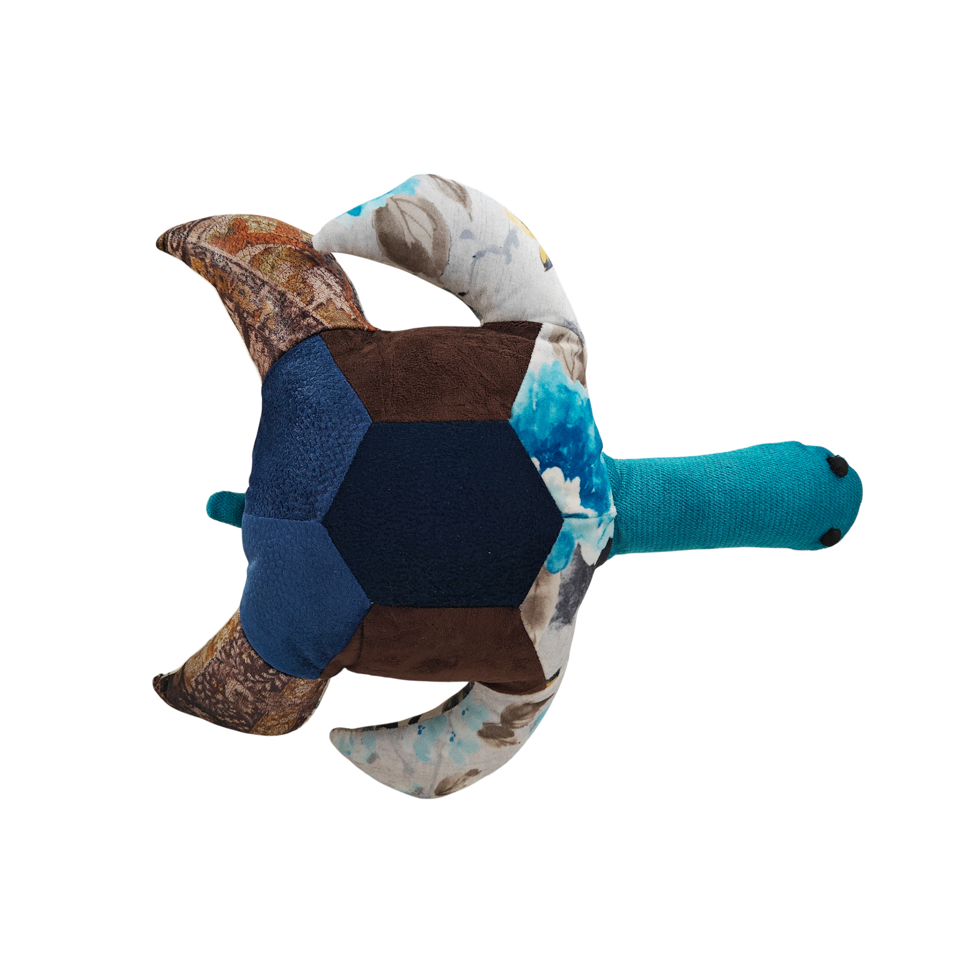 Turtle Top View